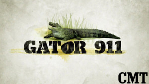Gator 911 show artwork